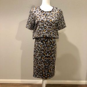 Skirt and top set